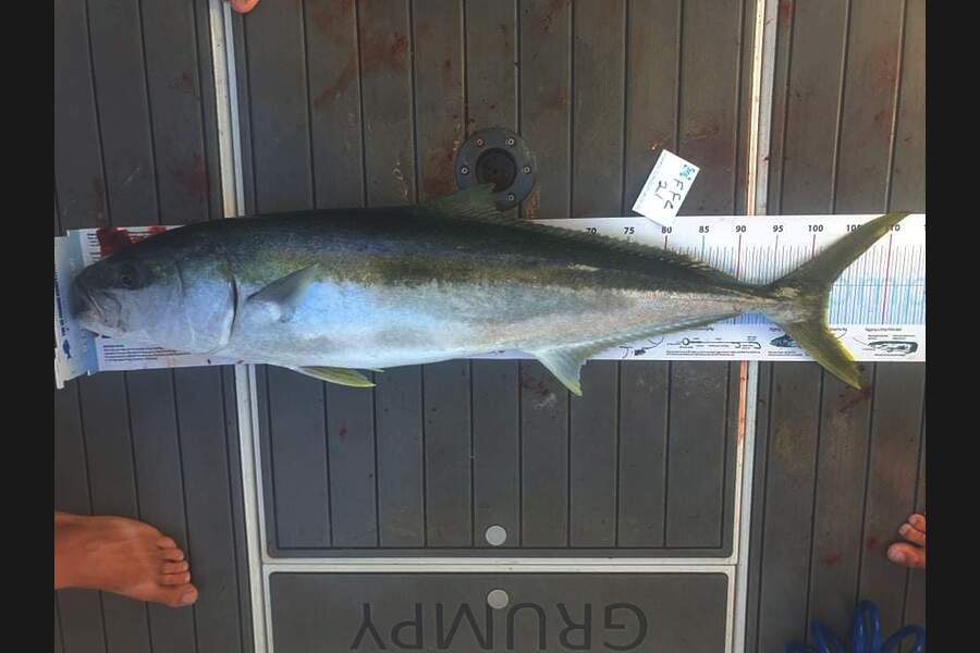 Warren Newman caught this 102.5cm Kingfish at Channel Island during The OBC Fishing Competition