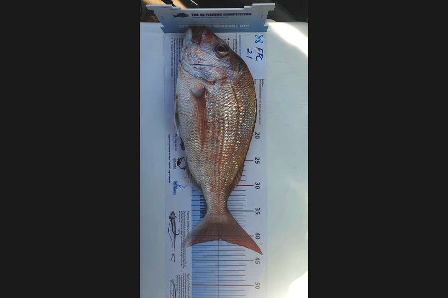Kim Dwyer caught this 40.5cm Snapper at Duders  Spit during The OBC Fishing Competition