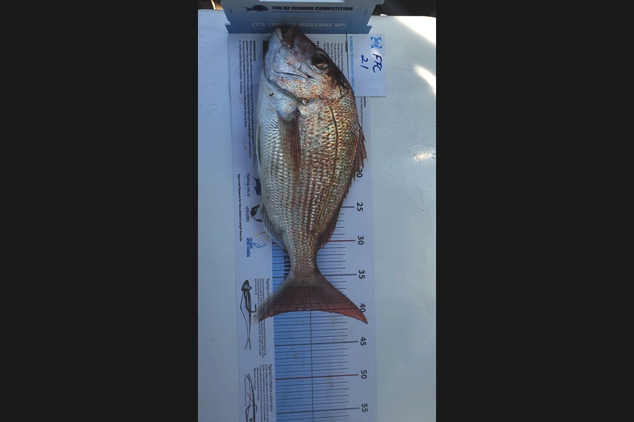 Kim Dwyer caught this 40.0cm Snapper at Duders  Spit during The OBC Fishing Competition