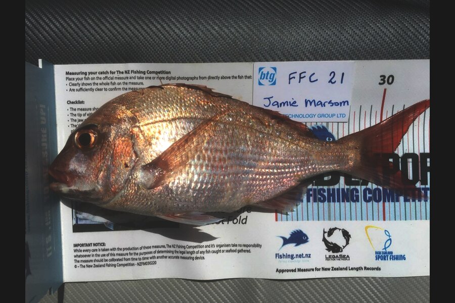Craig Marsom caught this 30.5cm Snapper at Noises during The OBC Fishing Competition