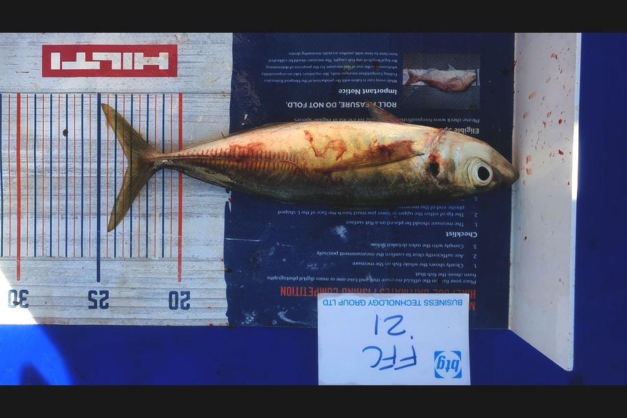 Gary Williamson caught this 23.0cm Other at Motuihe during The OBC Fishing Competition