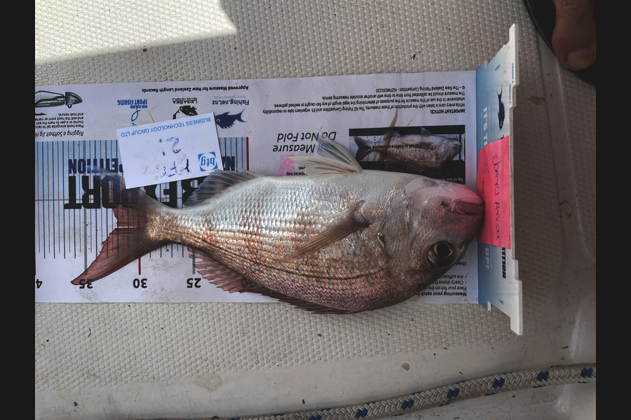 James Peacock caught this 32.0cm Snapper at Rangitoto channel during The OBC Fishing Competition