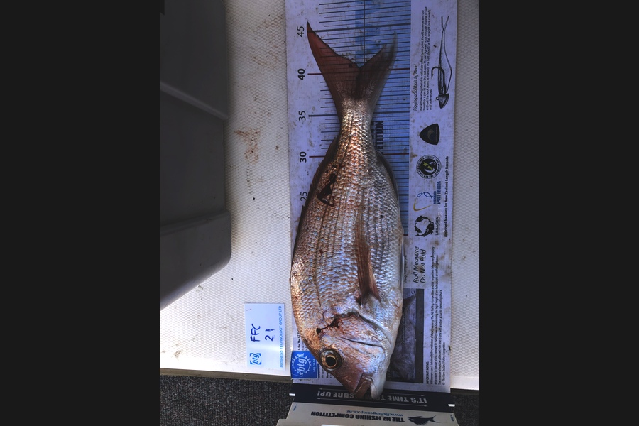 Andrew King caught this 40.5cm Snapper at Gulf during The OBC Fishing Competition