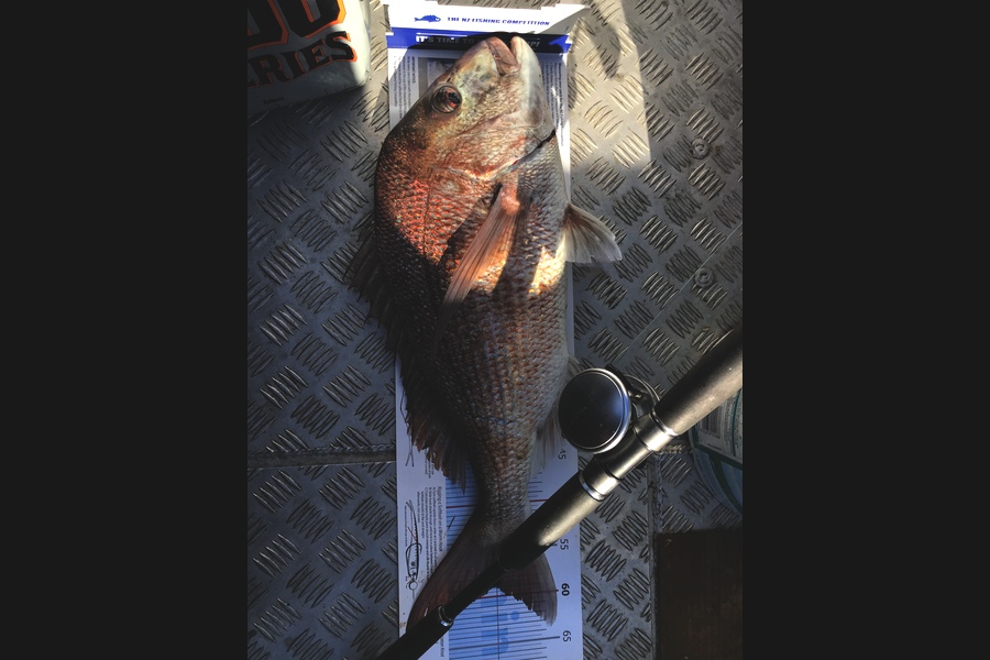 Darren Bugg caught this 59.0cm Snapper at Noises during The OBC Fishing Competition