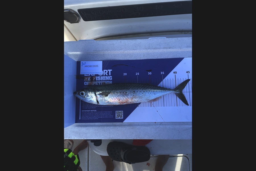 Nathan Carr caught this 42.0cm Other at Auckland during The OBC Fishing Competition