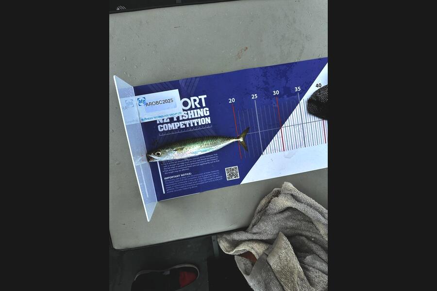 Codey Hunt caught this 21.5cm Other at Auckland during The OBC Fishing Competition