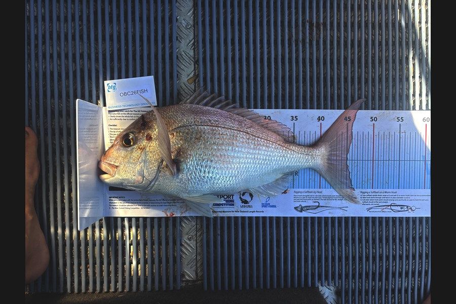 Rhodri Thomas caught this 45.0cm Snapper at Auckland during The OBC Fishing Competition