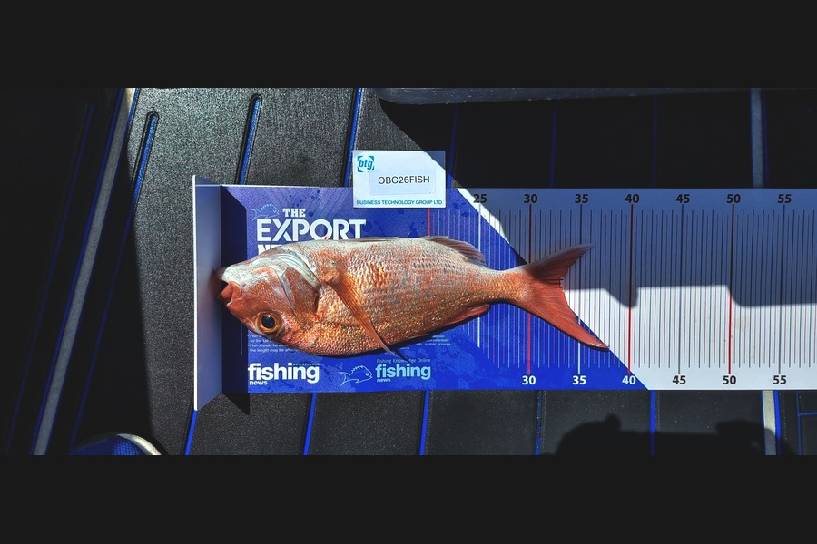 Simon Minoprio caught this 32.5cm Snapper at Auckland during The OBC Fishing Competition
