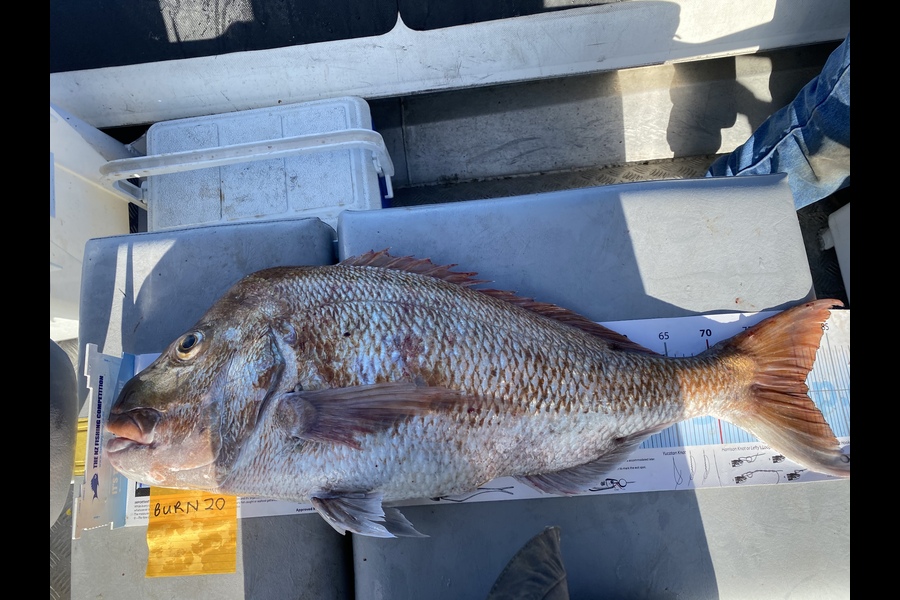 Philip Tate caught this 80.5cm Snapper at Tiri during The OBC Fishing Competition