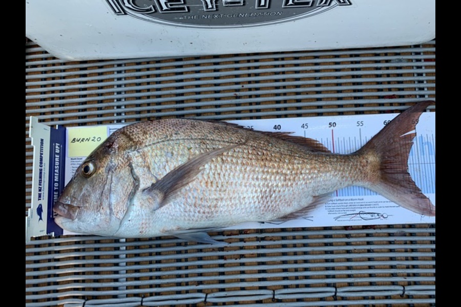 George Nam caught this 63cm Snapper at Hauraki Gulf during The OBC Fishing Competition