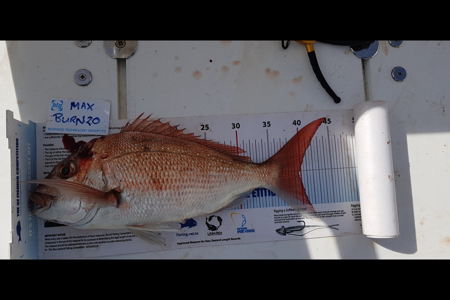 Maximus Smitheram caught this 39.5cm Snapper at Ahas during The OBC Fishing Competition