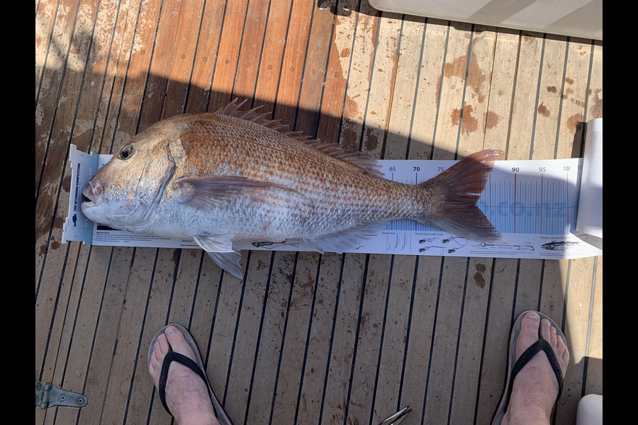 Tim Willetts caught this 82.0cm Snapper at Barrier during The OBC Fishing Competition