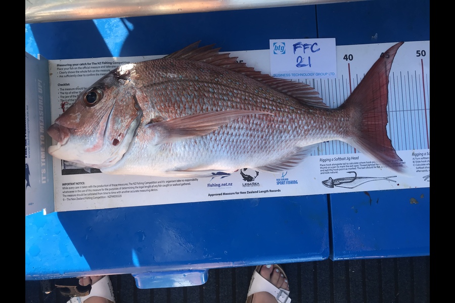 Roma Bertasius caught this 45.0cm Snapper at Noises  during The OBC Fishing Competition