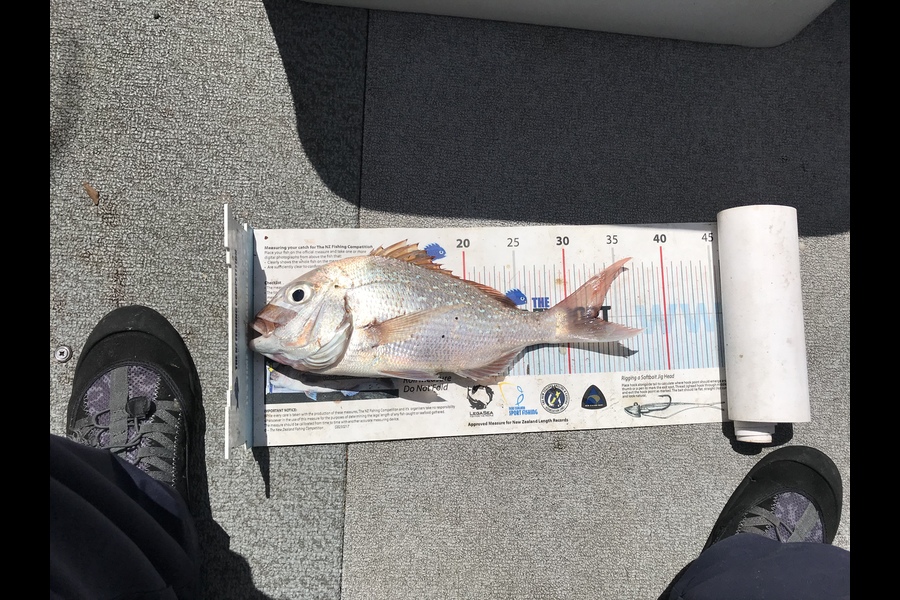 James Hoskins caught this 33cm Snapper at Noises during The OBC Fishing Competition