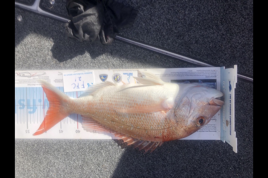Peter Tucker caught this 48.0cm Snapper at Gulf during The OBC Fishing Competition