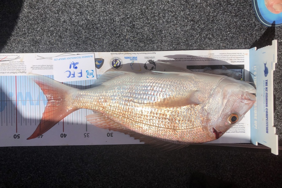 Peter Tucker caught this 43.0cm Snapper at Gulf during The OBC Fishing Competition