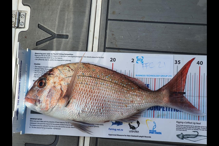 Warren Newman caught this 36.5cm Snapper at Channel Island during The OBC Fishing Competition