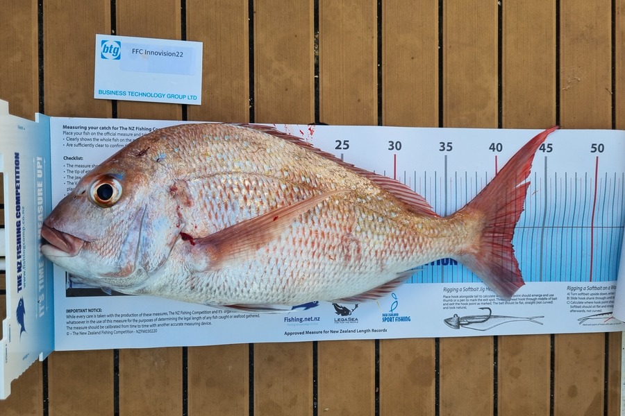 Igor Styvhinsky caught this 42.0cm Snapper at Noises during The OBC Fishing Competition