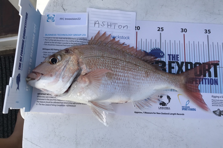 James Lindsay caught this 32.0cm Snapper at Noisies  during The OBC Fishing Competition