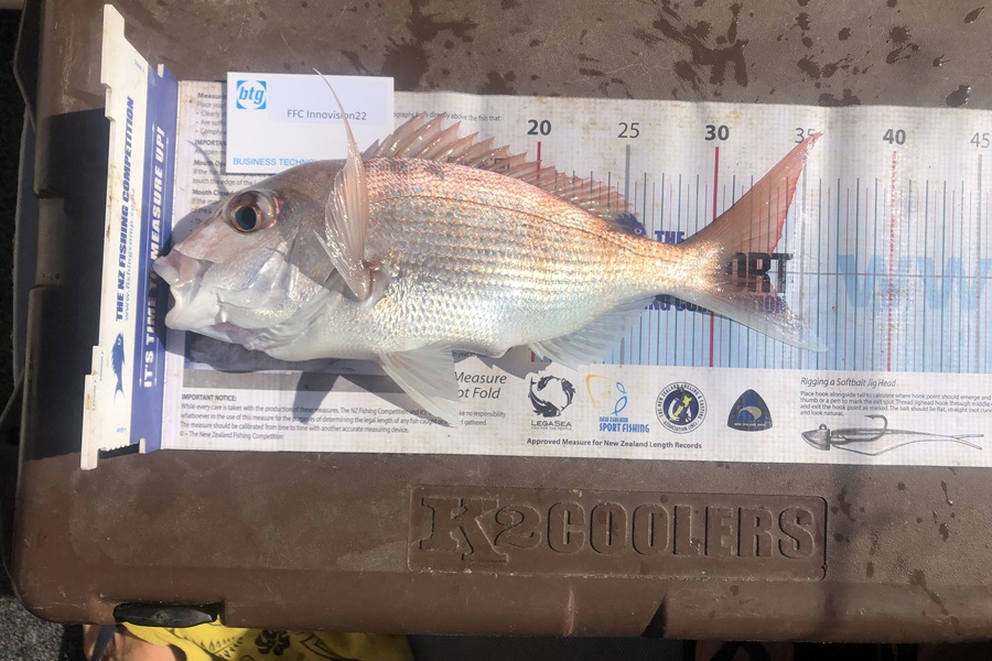 Darryl Michaux caught this 33.0cm Snapper at HG during The OBC Fishing Competition