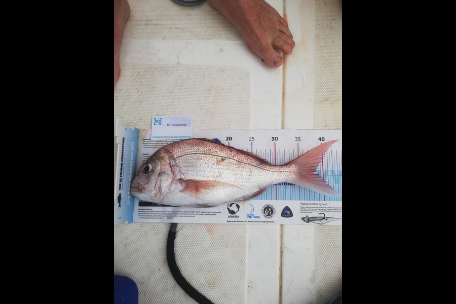 Oscar Kurtovich caught this 38.5cm Snapper at Thumb point during The OBC Fishing Competition