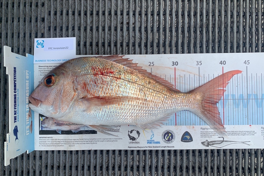 Barry Gill caught this 38.5cm Snapper at rangi during The OBC Fishing Competition