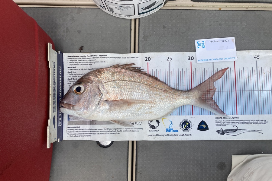 Mike Hurley caught this 34.5cm Snapper at admin Bay during The OBC Fishing Competition