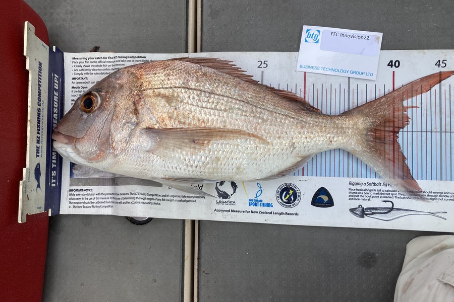 Mike Hurley caught this 40.0cm Snapper at Bay during The OBC Fishing Competition