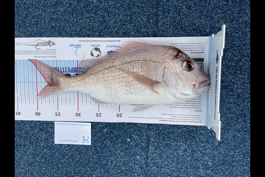 Mark Jamieson caught this 37.0cm Snapper at  Noises during The OBC Fishing Competition