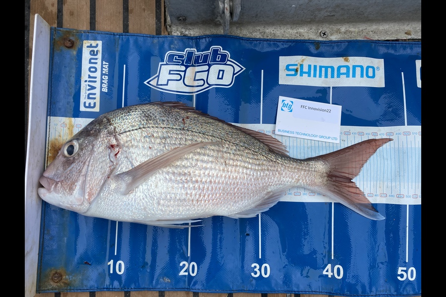 James MacQueen caught this 42cm Snapper at Fletcher bay during The OBC Fishing Competition