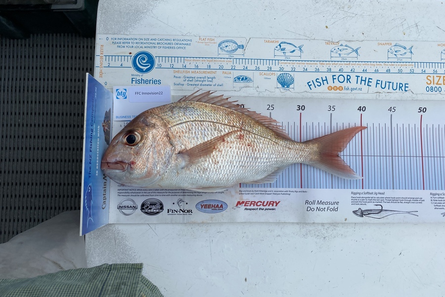 Brian Casserly caught this 36cm Snapper at Mouthier channel  during The OBC Fishing Competition