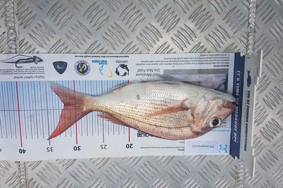 Tina Gray caught this 32.0cm Snapper at Ahas during The OBC Fishing Competition