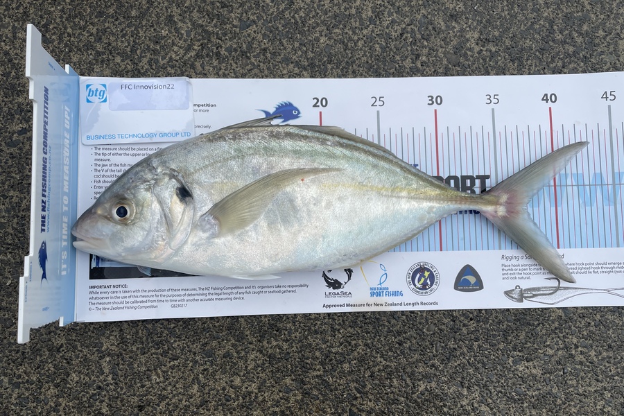 Dass Pillay caught this 37.0cm Other at Noisies  during The OBC Fishing Competition