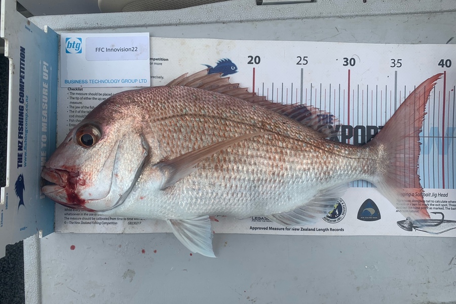 Mario Viljoen caught this 37.0cm Snapper at Auckland during The OBC Fishing Competition