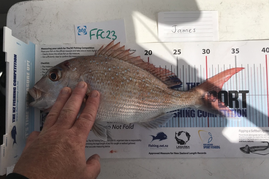 Anne Lindsay caught this 32.0cm Snapper at Rakino during The OBC Fishing Competition