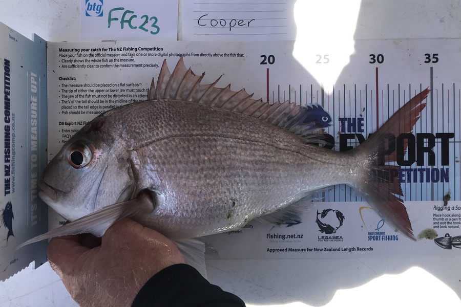 Anne Lindsay caught this 32.0cm Snapper at Rakino during The OBC Fishing Competition