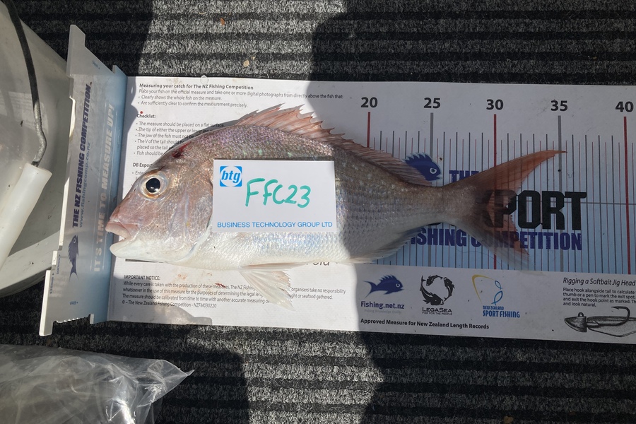 Logan Campbell caught this 31.0cm Snapper at Barges during The OBC Fishing Competition