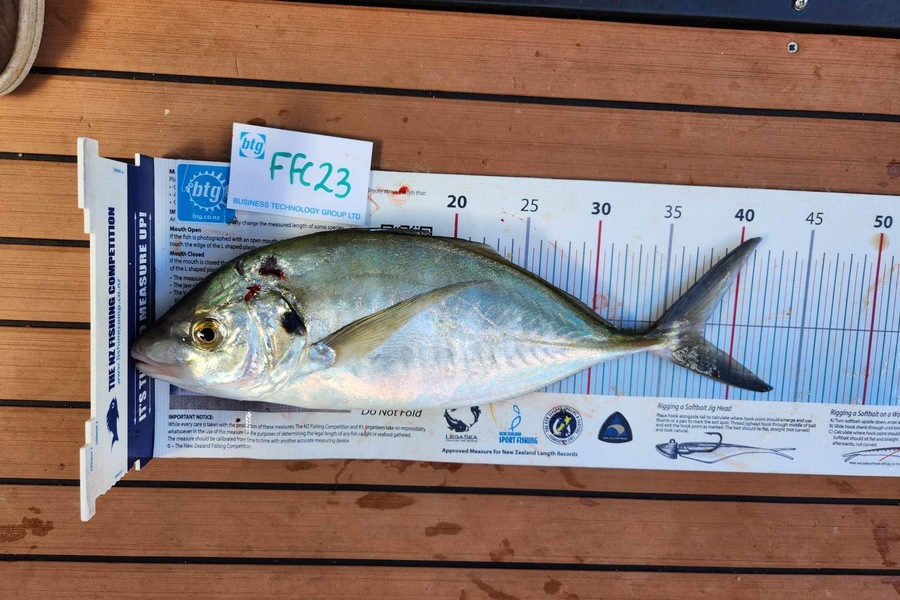 Jack Laity caught this 37.5cm Trevally at Motutapu during The OBC Fishing Competition