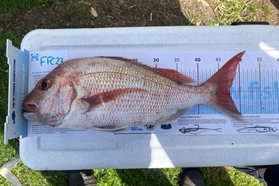 Logan McKenzie caught this 47.5cm Snapper at Durville rock  during The OBC Fishing Competition