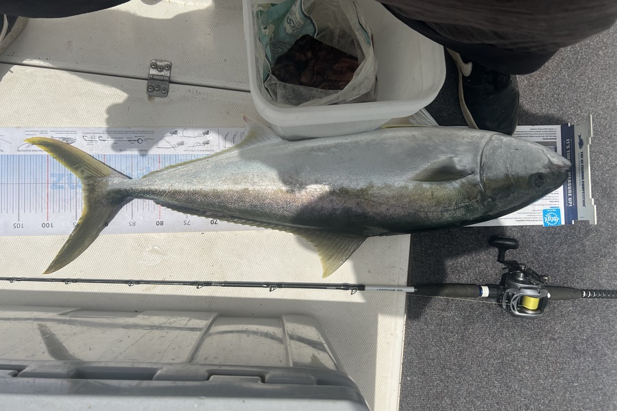 Andrew King caught this 93.5cm Kingfish at Waitemata during The OBC Fishing Competition