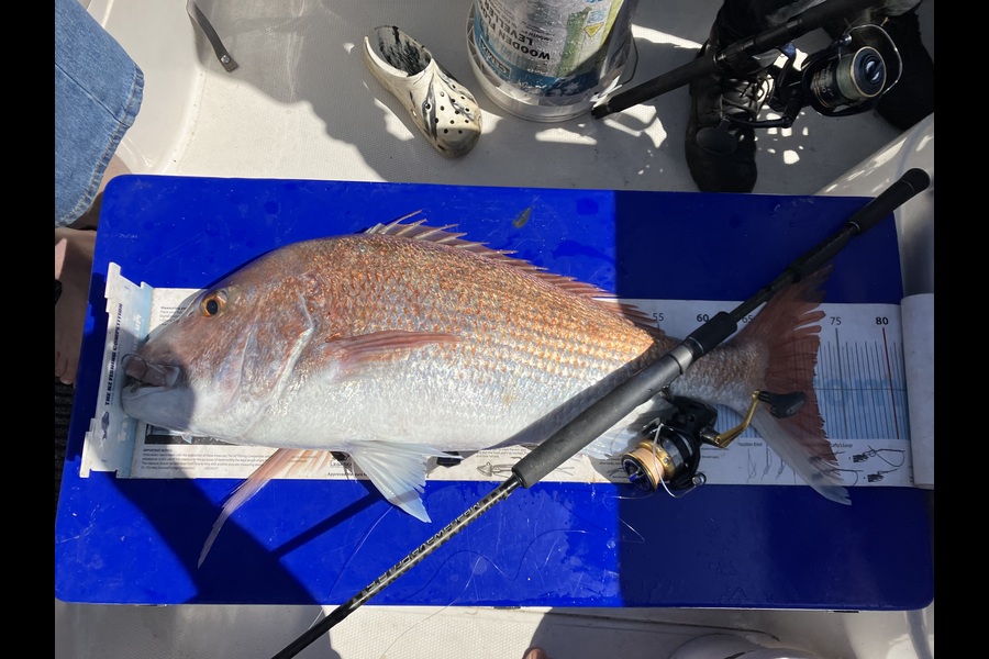 Darren Bugg caught this 71.5cm Snapper at Hauraki Gulf during The OBC Fishing Competition