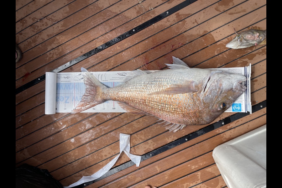 Jack Laity caught this 74.5cm Snapper at Craddock Channel  during The OBC Fishing Competition