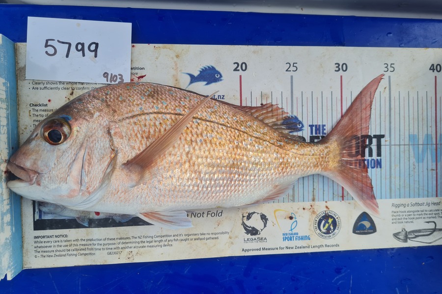 Hadlee Jordan caught this 32cm Snapper at Auckland during The OBC Fishing Competition