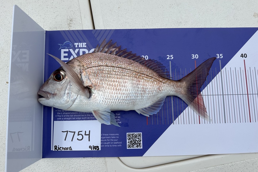 Richard David Hanna caught this 30.5cm Snapper at Auckland during The OBC Fishing Competition