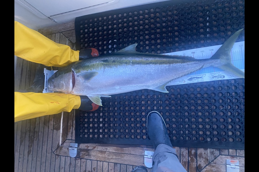 Ian Bannan caught this 119.5cm Kingfish at Bay of Plenty during The OBC Fishing Competition